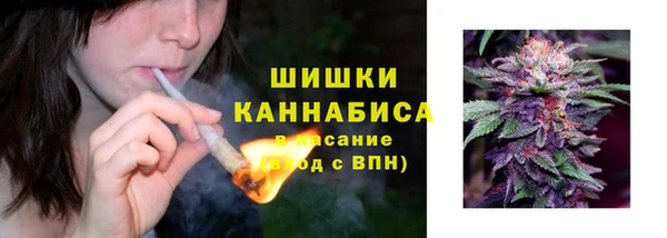 тгк Горно-Алтайск
