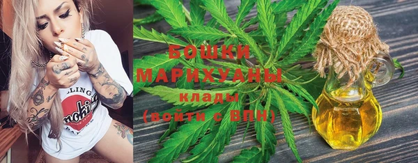 тгк Горно-Алтайск