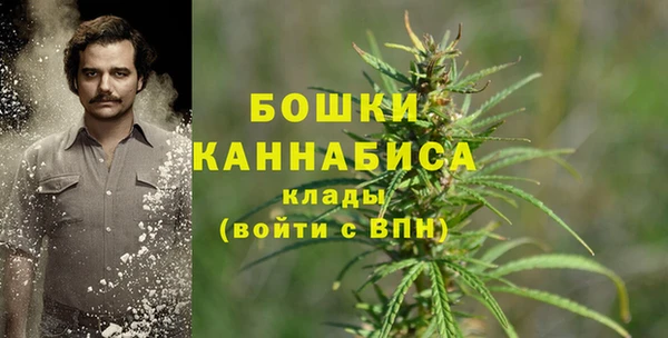 Альфа ПВП Горнозаводск