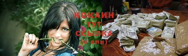 тгк Горно-Алтайск